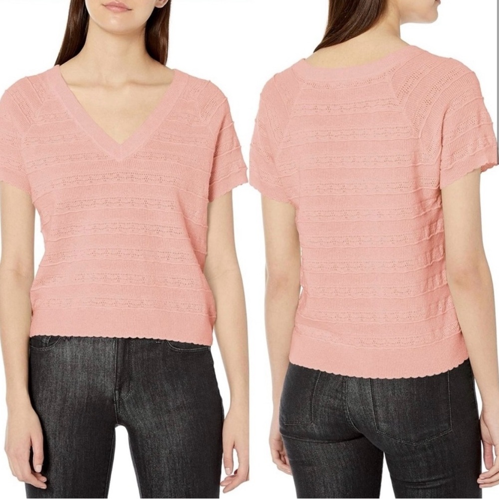 Joie Anoushka Ribbed Pointelle Short-Sleeve Eyelet Merino Wool Sweater Large
